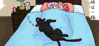 [東方]猫の寝相は悪い