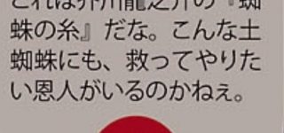 【東方】鍛えられたヤマメちゃんファンはこの台詞で10年は妄想するらしい