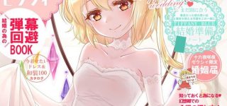 【東方】幻想少女と結婚するには