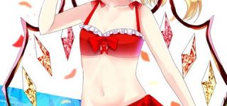 [東方]寒いからフランちゃんの水着姿で暖まろう