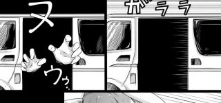 【東方】せーらんは少しかわいそうな目に遭いすぎている