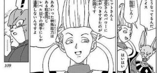 東方でも能力は圧倒的に格上な相手には通用しないのかな 　※ネタバレ注意