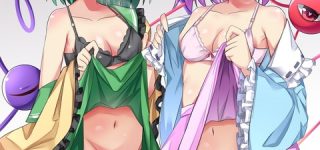 [東方]先に手を出すならどっち？