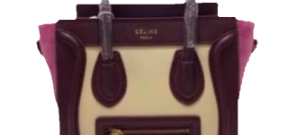 【東方】はたてに見えた