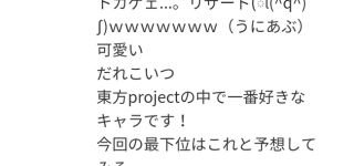 【東方】どんなキャラにもファンは付いてる