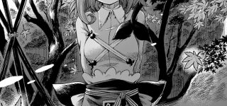 【東方】今から煮物作るから見ててね