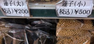 【東方】蓮子200円