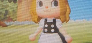 どうぶつの森で東方キャラが作られる