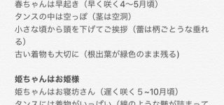 【東方】春紫苑と姫苑女の見分け方