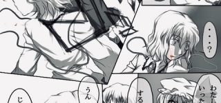 [東方]ちょっと危険な香りがするこいフラいい…