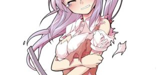 [東方]お姉さまに息子さんをくださいと言っただけなのに…