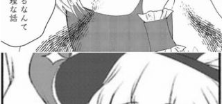 【東方】これは二人とも恐ろしい妖怪ですわ…