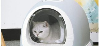 【東方】橙って普段どんなとこに住んでるの?