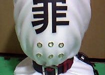 【東方】ジャンルの垣根を飛び越えた名竿役貼る