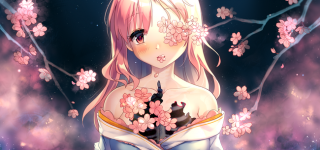 【東方】剣術だけは妖夢に勝てない説