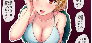 【東方】理想の妻