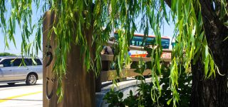 [東方]今は旅に出にくいからみんなの思い出を教えて