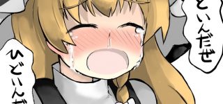 【東方】私の自機としての使いやすさが近年暴落してきてるぜ…