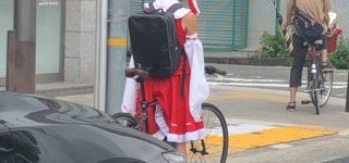 【東方】神戸周辺で相次ぐ目撃情報