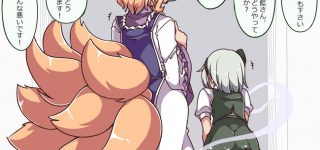 【東方】らんみょんってけっこういいと思う