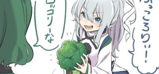 【東方】冷静に考えたら銀髪ポニーテール天然名家美少女って完璧すぎない？