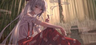 【東方】私なんて輝夜に負けない程度の順位でいいのに…なんでそんなに私に投票するんだ？