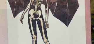 【東方】お嬢様の骨格