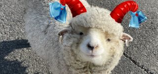 【東方】めっちゃ性格よさそう