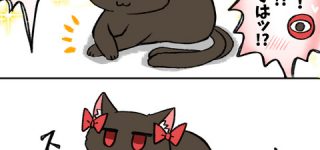 [東方]東方キャラの獣形態（影狼・マミゾウ・お燐など）