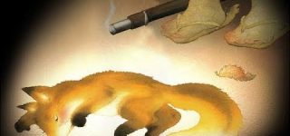 [東方]目の錯覚