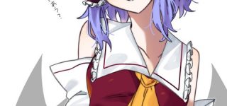 [東方]レミリア「霊夢の服着てみた」フラン「......」
