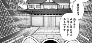 [東方]智霊奇伝の姫様