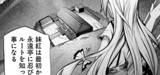 【東方】普段から忍び込んでナニしてるんだ