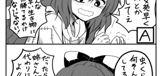 【東方】どっちの紫苑ショー