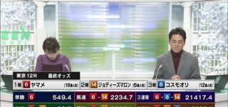 【東方】ヤマメですか(驚)