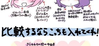 【東方】キャラの外見で論争が起きるのっておねえちゃんぐらいだよね