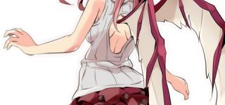 【東方】羽キャラ専用服