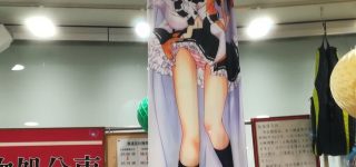 【東方】電車内の忘れ物